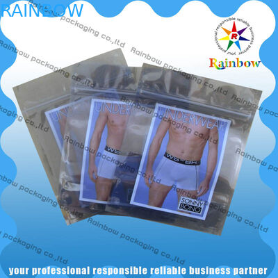 HUISDIER/HUISDIER/PE Vaste Laminerings Antistatische Transparante Aluminiumzak met Ritssluiting