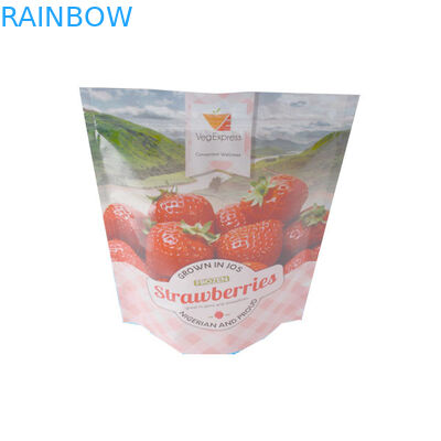 De Tribune omhoog Plastic Zakken die van de snackritssluiting voor Gedroogd fruit Verpakking verpakken