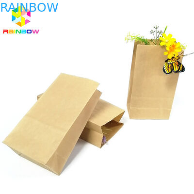 Het Document van Kraftpapier van de voedselrang Vlakke Biologisch afbreekbare Vetvrije de Snack van de Bodemzak Verpakking
