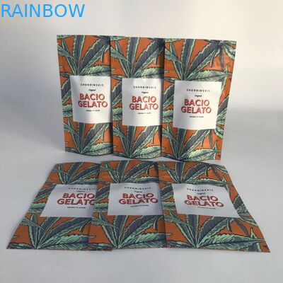 Tribune omhoog Kleverige Verpakkende Zakken met de Ritssluiting van het Kindbewijs