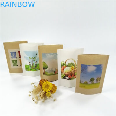 Kraftpapier-Document MOPP VMPET de Tribune op Ritssluiting doet 18x26cm in zakken