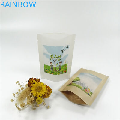 Kraftpapier-Document MOPP VMPET de Tribune op Ritssluiting doet 18x26cm in zakken