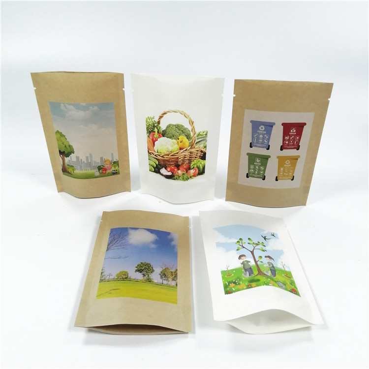 Kraftpapier-Document MOPP VMPET de Tribune op Ritssluiting doet 18x26cm in zakken