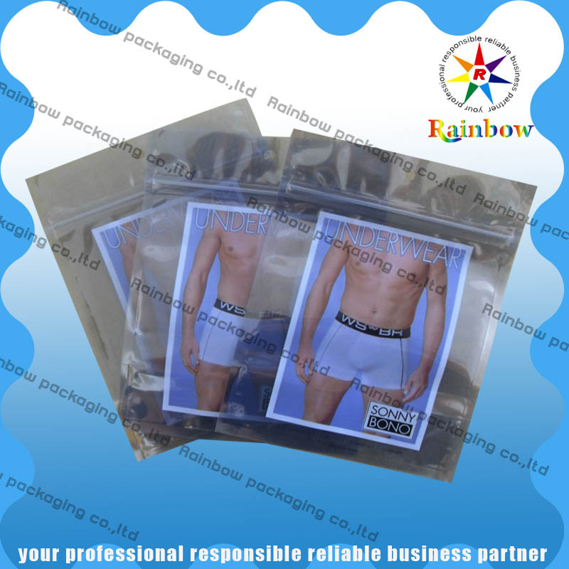 HUISDIER/HUISDIER/PE Vaste Laminerings Antistatische Transparante Aluminiumzak met Ritssluiting